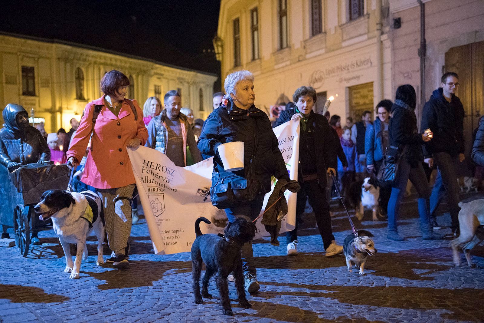 Belvárosi felvonulás az állatok világnapján szerdán este Székesfehérváron